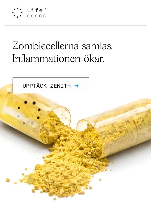 Exempel på konverteringsoptimerad e-postdesign och copy